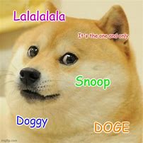 Image result for snoop dogg doge memes
