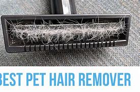 Image result for Tyla Pet Hair Remover