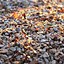 Image result for Aesthetic Pebbles Background