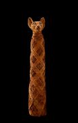 Image result for Mummified Cat Tail