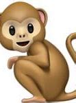 Image result for Monkey Emoji Apple