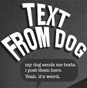 Image result for Dog Text Memes