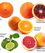 Image result for Citrus Fruit Names with Pic