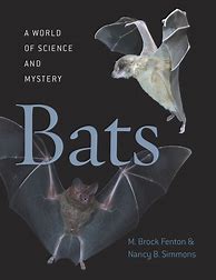 Image result for Bat Books