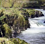 Image result for River Teifi Newcastle Emlyn