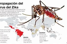 Image result for Zika Trap