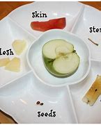 Image result for Parts of an Apple Craft