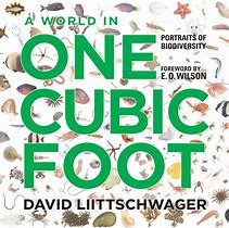 Image result for Life in One Cubic Foot