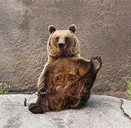 Image result for Bear Pose Yoga