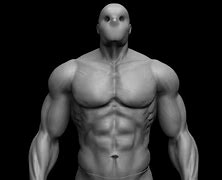 Image result for 3D Human Models