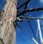 Image result for Aerial Wire Hangers