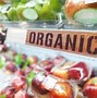 Image result for Organic Food Options