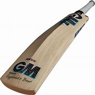 Image result for GM Brand Cricket Bat