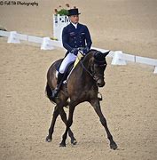 Image result for Half Pass Dressage Movement