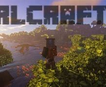 Image result for Rlcraft Blurry Screen