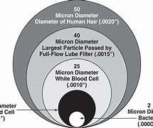 Image result for One Micron
