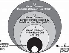 Image result for How Big Is 1 Micron