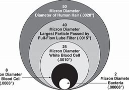 Image result for How Small Is a Micron