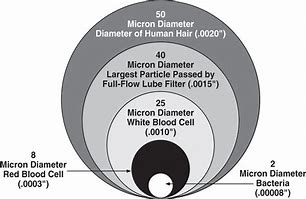 Image result for How Big Is 300 Micron