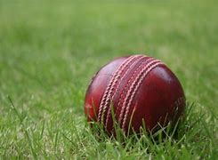 Image result for Cricke Balon