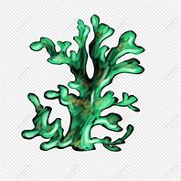 Image result for Green Coral Cartoon