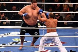 Image result for UFC Sumo