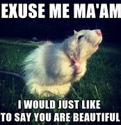 Image result for He Said I'm Beautiful Meme