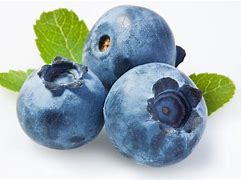 Image result for Blueberry Fruit