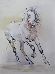 Image result for White Horse Art