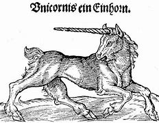 Image result for Black Unicorn