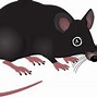 Image result for Clip Art Baby Mice