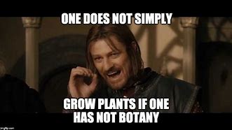 Image result for Plant Pot Meme