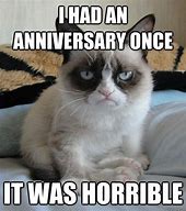 Image result for Funny Cat Anniversary Meme