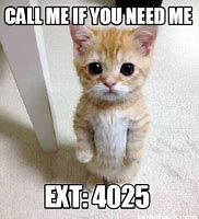 Image result for Just Call If You Need Me Meme