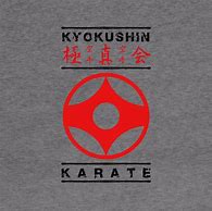 Image result for Kyokushin Karate Kanchu Designs