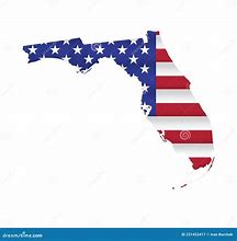 Image result for Florida Map. Flag Phone Case