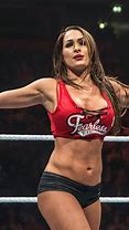 Image result for GTA WWE Nikki Bella