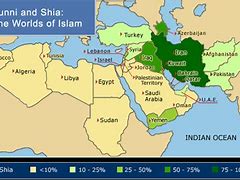Image result for Sunni-Shia