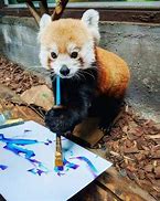 Image result for Funny Animals 2018