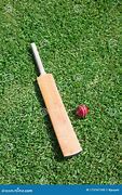 Image result for Cricket Bat