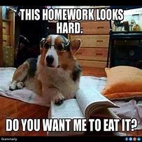 Image result for Dog Homework Meme