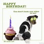 Image result for Funny Happy Birthday Wish