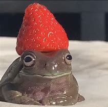 Image result for Cute Frog with Strawberry