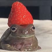 Image result for Round Frog Meme