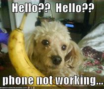 Image result for Phones Not Working Funny