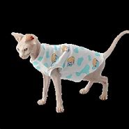 Image result for Sphynx Cat Clothes