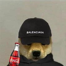 Image result for Beanie Dog Meme