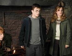 Image result for Harry Potter Order of the Phoenix Members