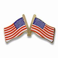 Image result for Double US Flag Pin