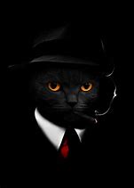 Image result for Black Cat Like a Boss